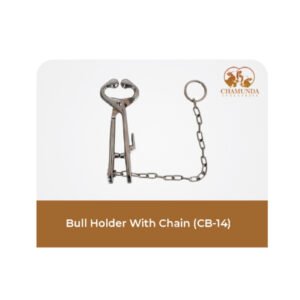 BULL HOLDER WITH CHAIN